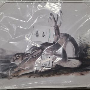 Framed Rabbit Art Print